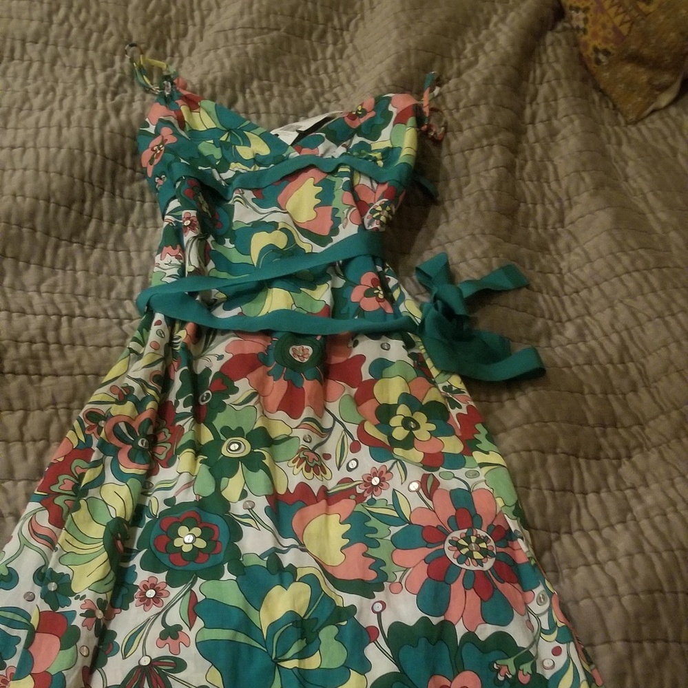 Vintage BCBG MaxAzria Dress